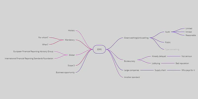 Daniel Antal started with their own subjective mindmap of the introduction of ESRS, aligning some positive thoughts on the left-hand side and sceptical ones on the right-hand side.